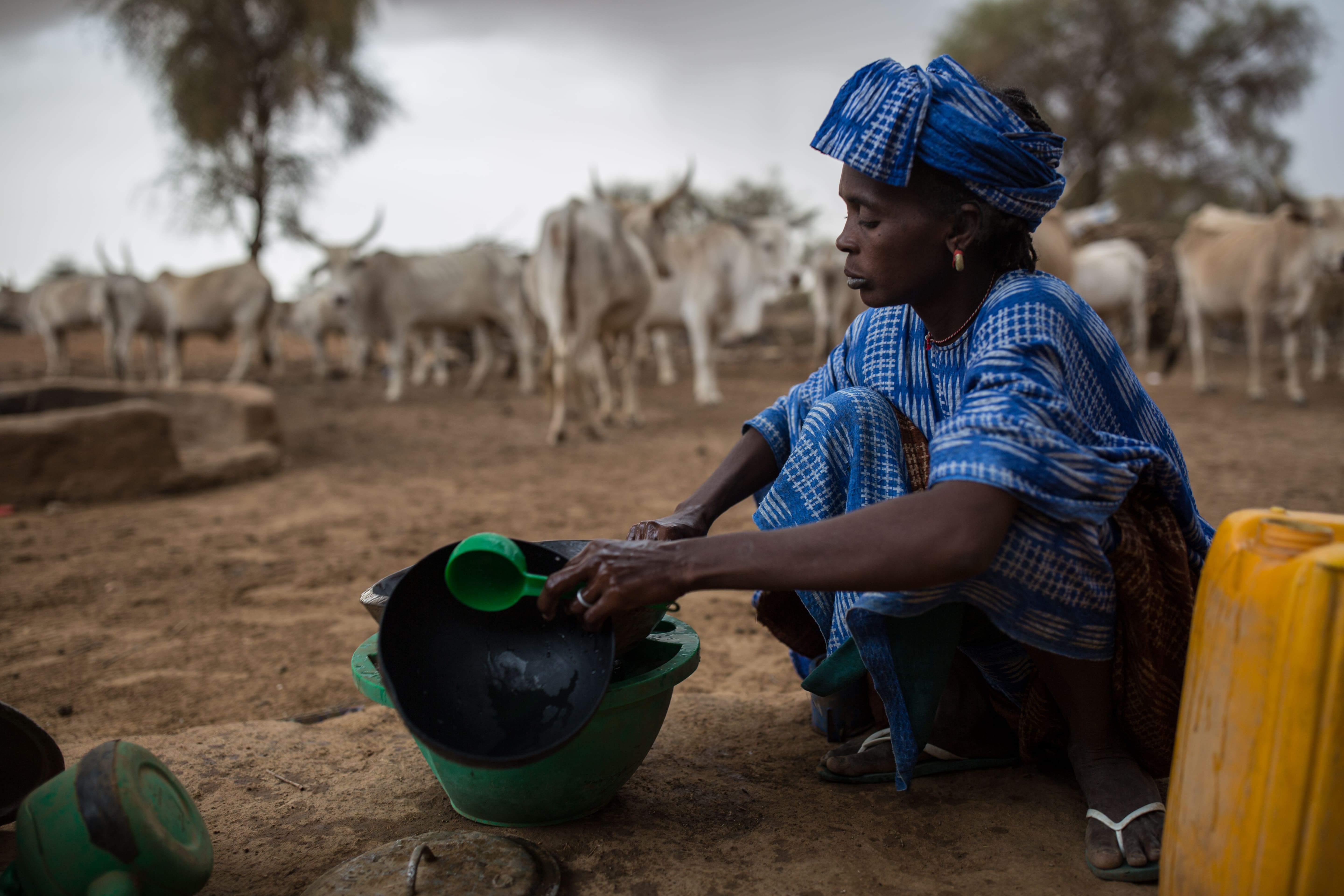 Action contre la Faim crise alimentaire
